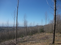 nte Cicirello-10042012 023